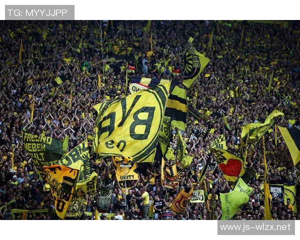 利华古逊与汉堡激战正酣谁能在德甲赛场笑到最后