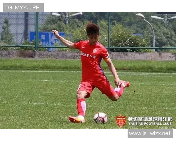 延边富德与贵州的精彩对决回放分析与赛后点评